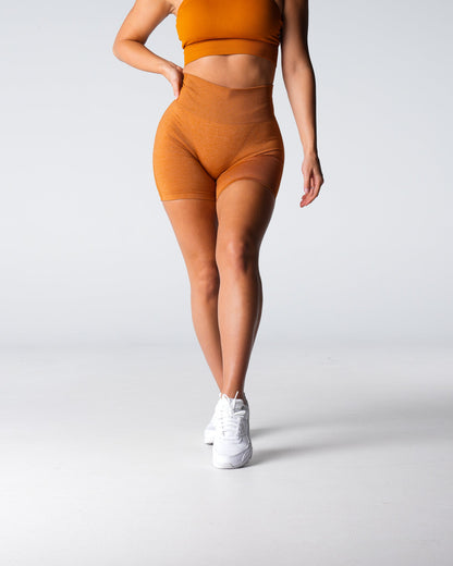Women Terracotta Performance Seamless Shorts | NVGTN